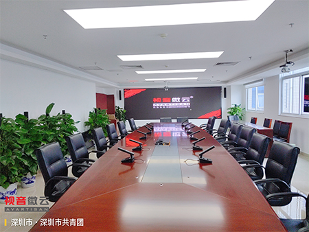 广东省深圳市共青团