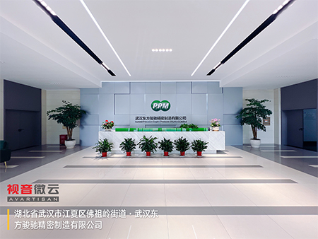 湖北省武汉东方骏驰精密制造有限公司