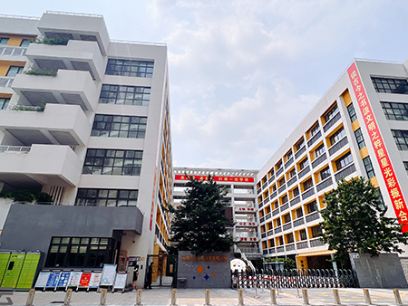 广东省深圳市坪山新合实验学校
