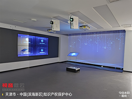 天津中国知识产权保护中心