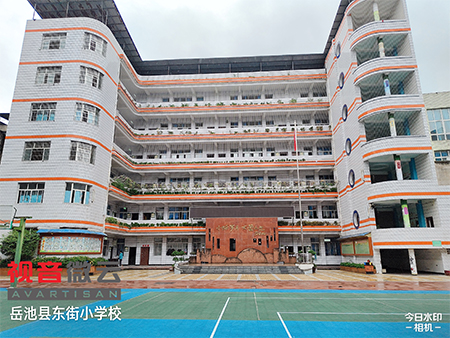 四川省岳池县东街小学