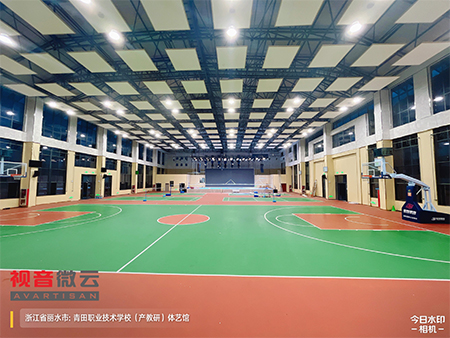 浙江省丽水市青田职业技术学校（产教研）体艺馆